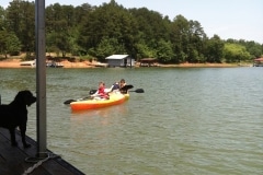 Kayaking at the Ark